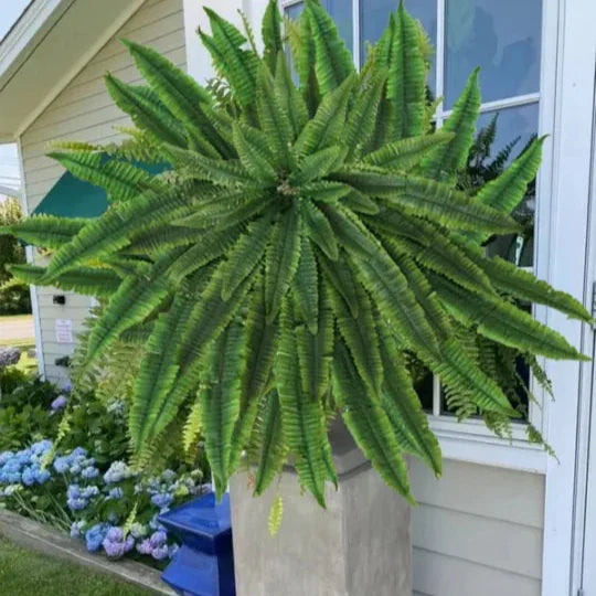 Realistic Artificial Boston Fern with 88 Branches