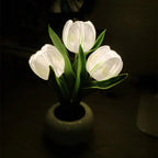 Tulip LED Table Lamp in Ceramic Pot – Warm Decorative Light