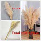 Natural Pampas Grass Stems for Home Decor