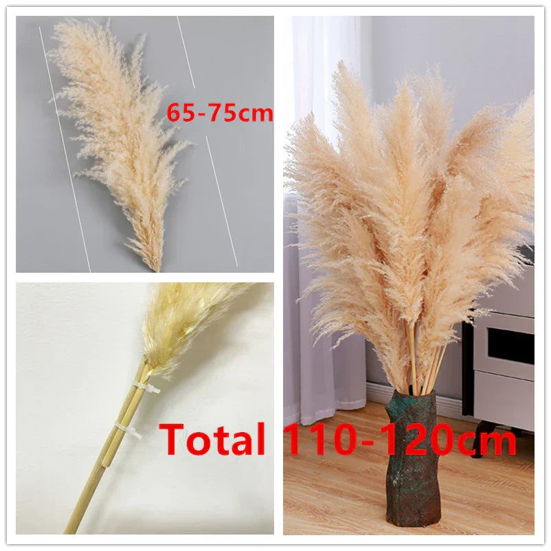 Natural Pampas Grass Stems for Home Decor