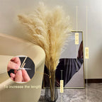 Natural Pampas Grass Stems for Home Decor