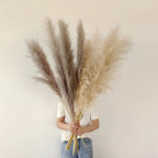 Natural Pampas Grass Stems for Home Decor