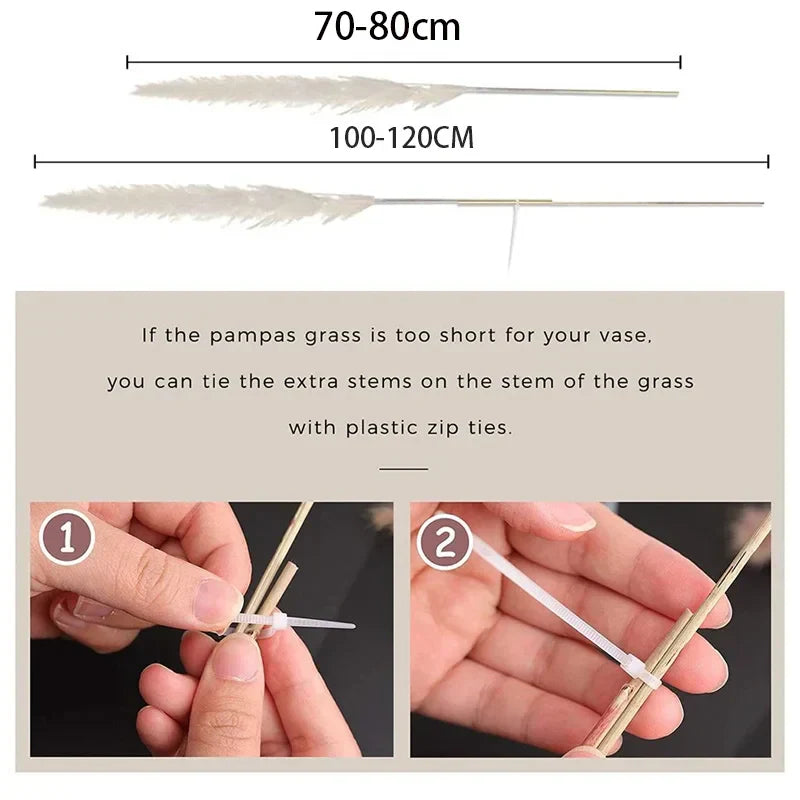 Natural Pampas Grass Stems for Home Decor