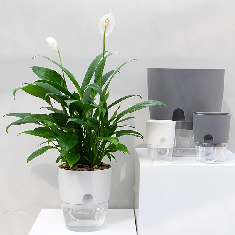 Self-Watering Planter – Cotton Wick System for Indoor Plants