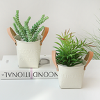 Garden Planters with Leather Handles