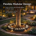 LED Tree Ring Light with 360° Illumination