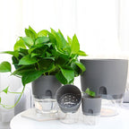 Self-Watering Planter – Cotton Wick System for Indoor Plants