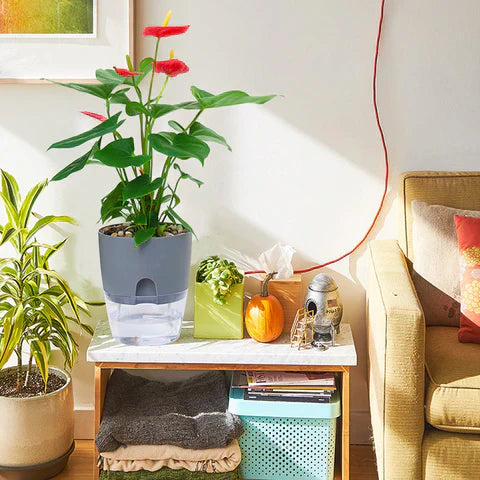 Self-Watering Planter – Cotton Wick System for Indoor Plants