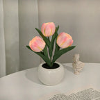 Tulip LED Table Lamp in Ceramic Pot – Warm Decorative Light Peach Powder