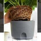 Self-Watering Planter – Cotton Wick System for Indoor Plants