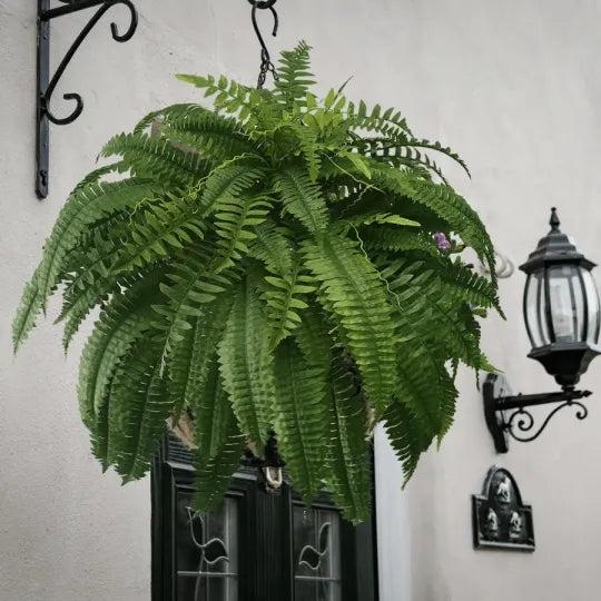 Realistic Artificial Boston Fern with 88 Branches
