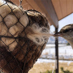 Heart-Shaped Holder for Bird Nesting Material with Hanging Chain