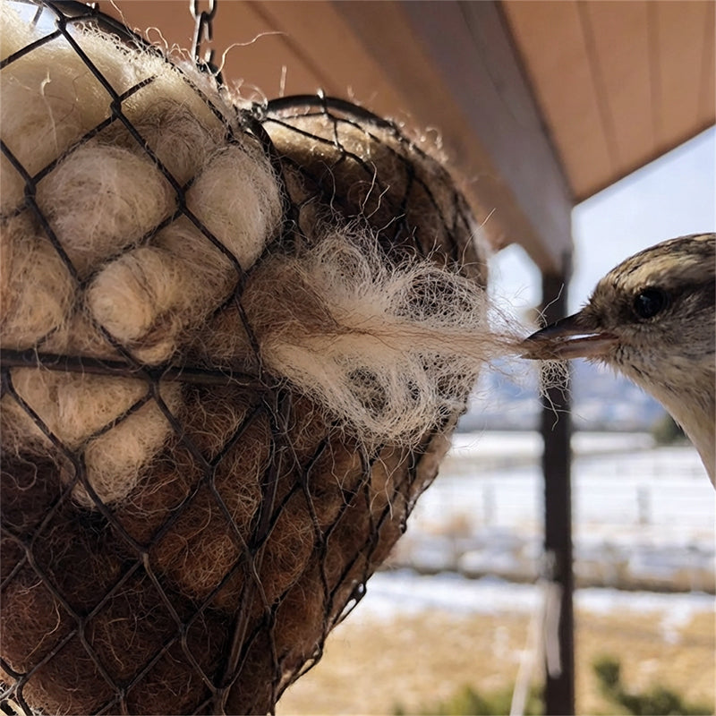 Heart-Shaped Holder for Bird Nesting Material with Hanging Chain