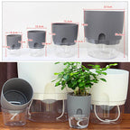 Self-Watering Planter – Cotton Wick System for Indoor Plants