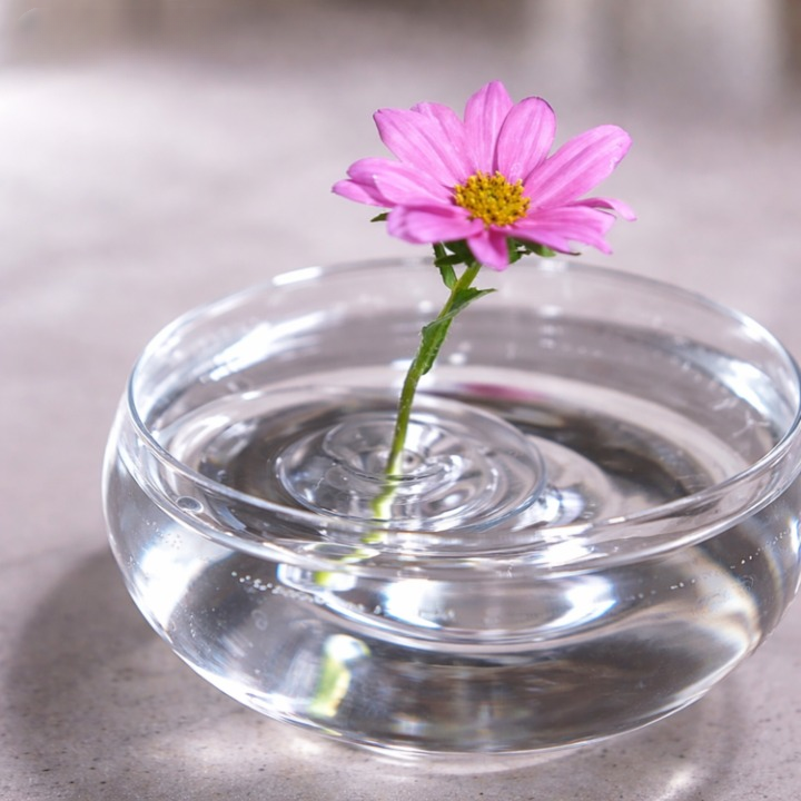 Floating Flower Holder - Clear Stem Support for Arrangements