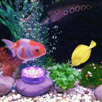 Submersible LED Pool Lights with Remote Control