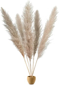 Natural Pampas Grass Stems for Home Decor Natural 5 pieces