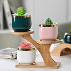 Bamboo Plant Stand with Two Shelves at Different Heights