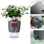 Self-Watering Planter – Cotton Wick System for Indoor Plants