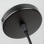 Industrial Cage Pendant Light with Black Iron Frame