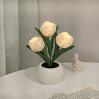 Tulip LED Table Lamp in Ceramic Pot – Warm Decorative Light Creamy White