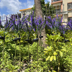 Solar Lavender Garden Light with LED Accent Lighting