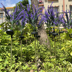 Solar Lavender Garden Light with LED Accent Lighting