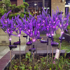 Solar Lavender Garden Light with LED Accent Lighting