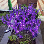 Solar Lavender Garden Light with LED Accent Lighting