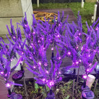 Solar Lavender Garden Light with LED Accent Lighting
