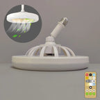 Modern Ceiling Fan Light with Remote Control