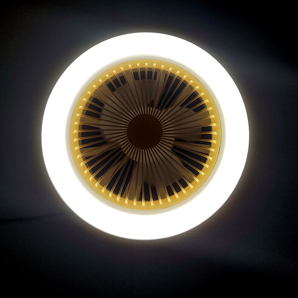 Modern Ceiling Fan Light with Remote Control