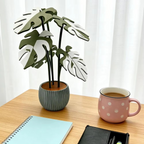 Monstera Plant Coaster - Functional Decor & Table Protection