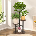 4-tier Plant Stand with Round Wooden Shelves and Metal Frame Black