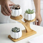Bamboo Table Shelf with Multi-Level Display Area Style 1