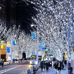 LED Christmas Tree String Lights – Sparkling & Safe Holiday Lighting White