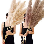 Natural Pampas Grass Stems for Home Decor