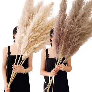 Natural Pampas Grass Stems for Home Decor
