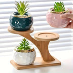 Bamboo Plant Stand with Two Shelves at Different Heights