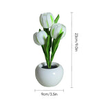 Tulip LED Table Lamp in Ceramic Pot – Warm Decorative Light