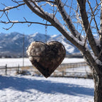 Heart-Shaped Holder for Bird Nesting Material with Hanging Chain