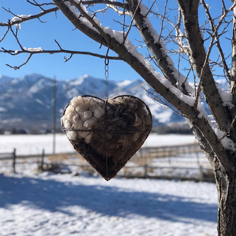 Heart-Shaped Holder for Bird Nesting Material with Hanging Chain