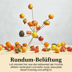 Modern Fruit Stand