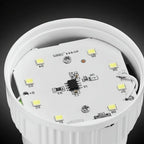 Rechargeable LED Camping Light with 3 Brightness Modes