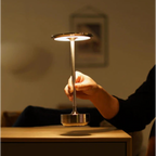 Rechargeable LED Table Lamp with Touch Control