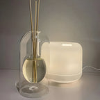 Glass Reed Diffuser with LED Mood Light