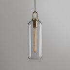 Glass Pendant Light with Brass Hardware 5.9 in Clear